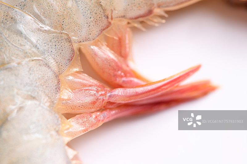 白色背景上的虾腿特写图片素材