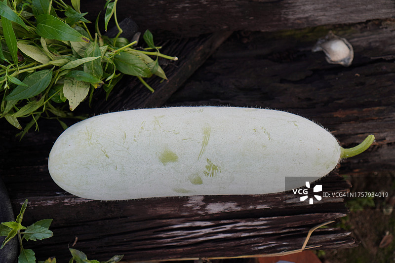 冬瓜蔬菜图片素材