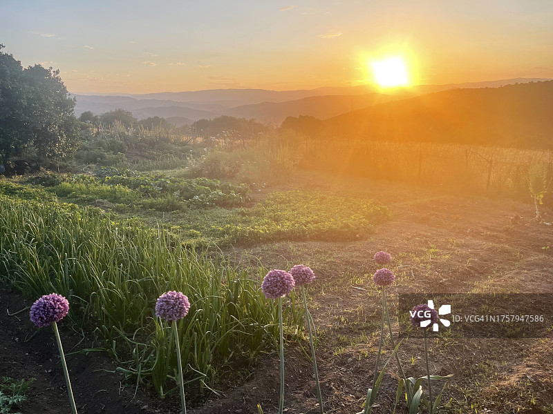 西班牙乡村日落图片素材
