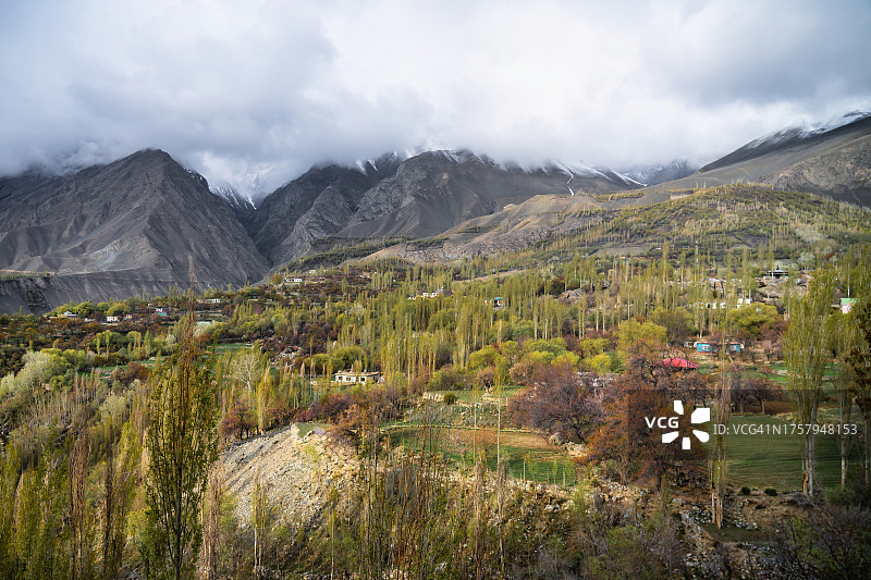 巴基斯坦斯卡杜春达山谷的樱花盛开美景图片素材