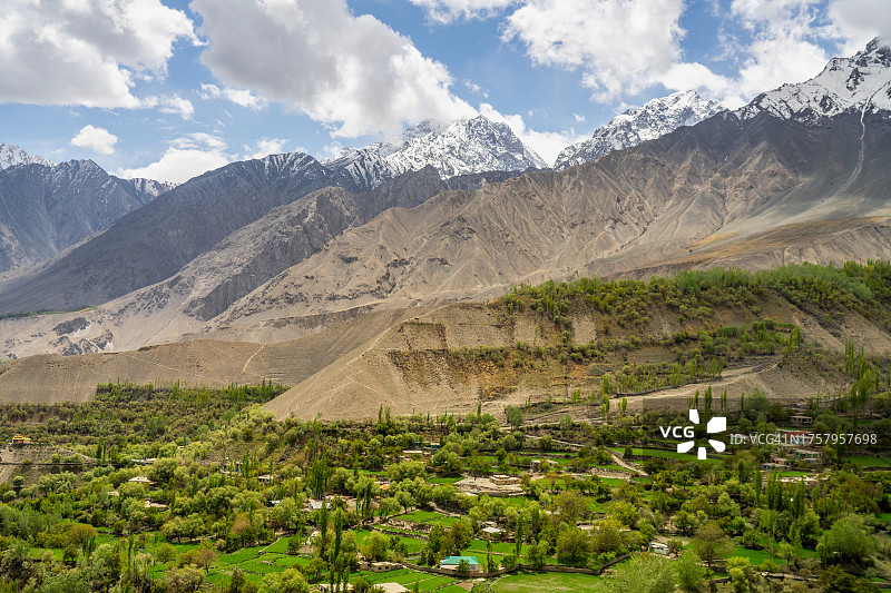 巴基斯坦信德山谷盛开的樱花图片素材