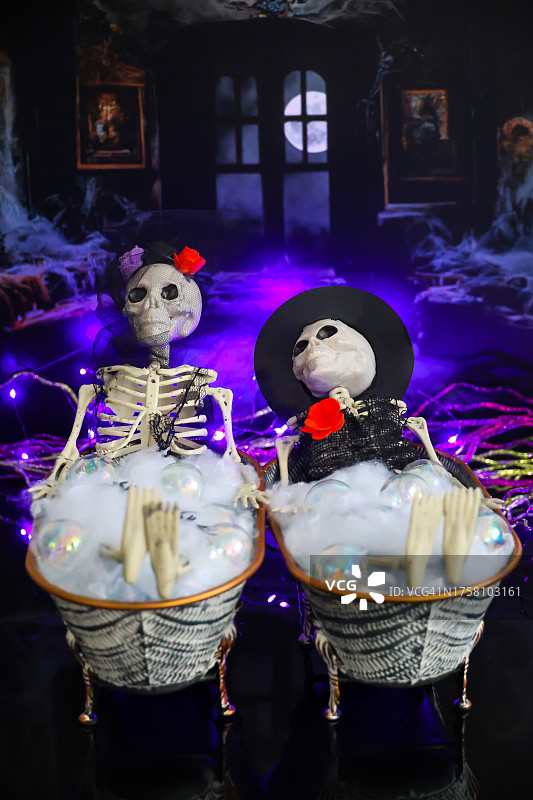 浴缸里的卡特里娜和卡特林骨骼图片素材