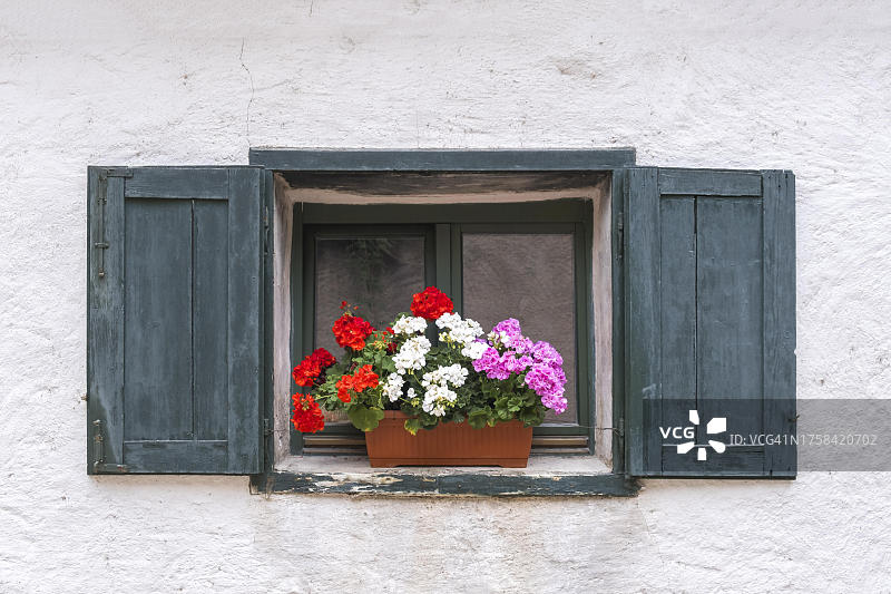 意大利南蒂罗尔卡尔特恩的绿色百叶窗小窗户和鲜花装饰图片素材