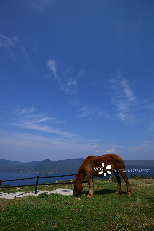 隐岐群岛（西之岛）图片素材