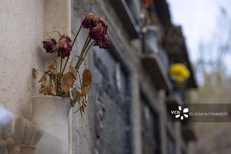 意大利撒丁岛巴里萨尔多墓地坟墓上的枯萎鲜花花瓶图片素材