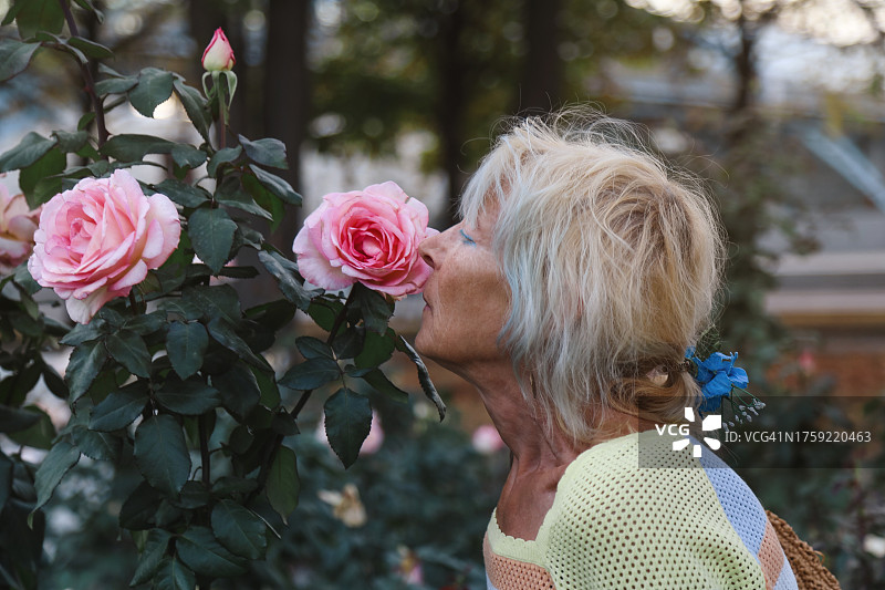 在城市花园散步并闻玫瑰花的染蓝色头发的时尚年长女性图片素材
