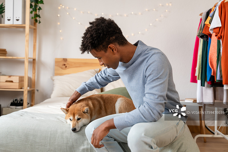 非裔美国男人和柴犬在家图片素材