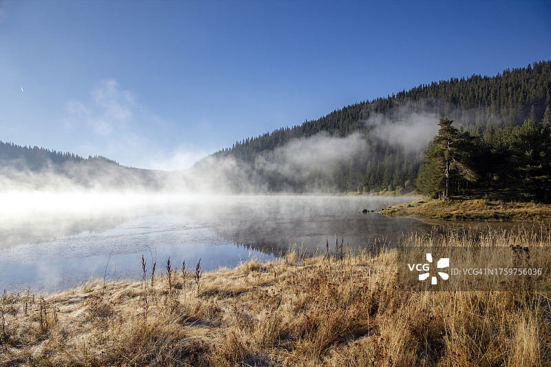 晨雾中的森林湖泊景观图片素材