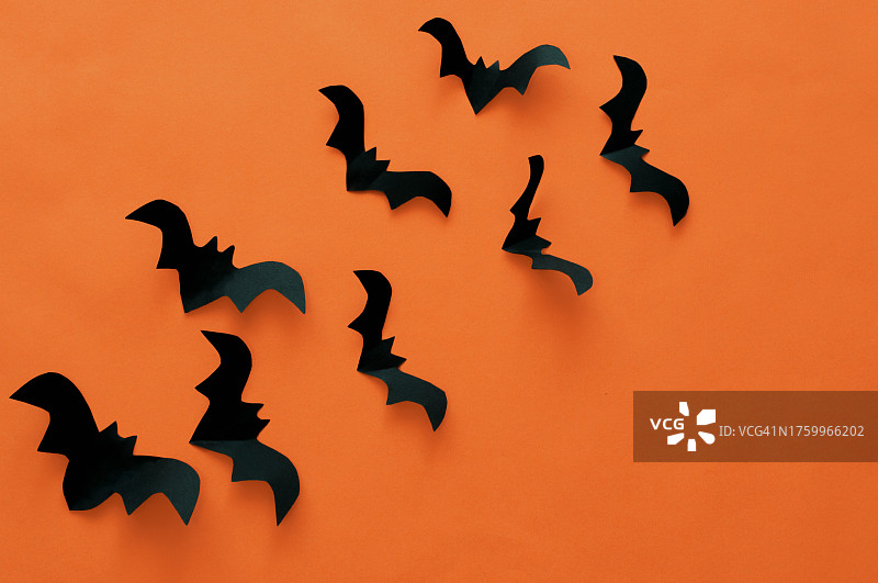 橙色天空下，飞鸟的剪影图片素材