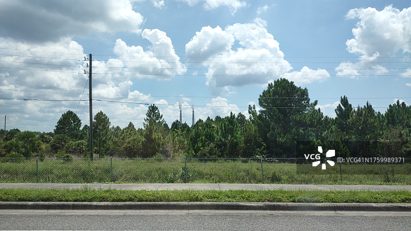 美国佛罗里达州旷野树木景观图片素材