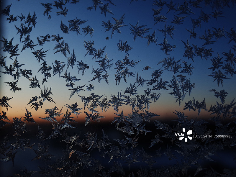 日落时分天空下树木的剪影图片素材