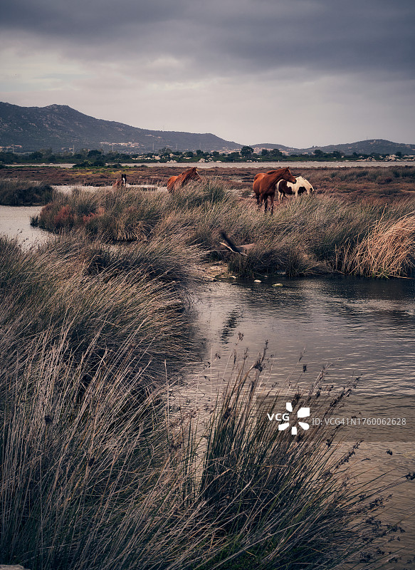 天空衬托下的田野风景图片素材