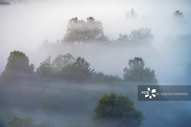 日出时乡村薄雾的航拍图片素材