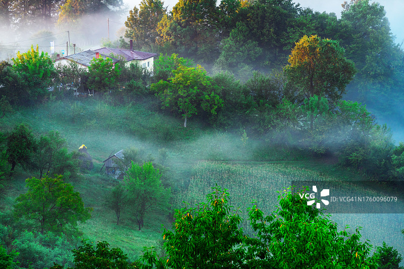 日出时乡村薄雾的航拍图片素材