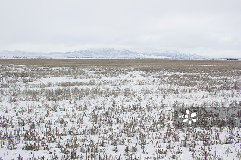 冬天的景色图片素材