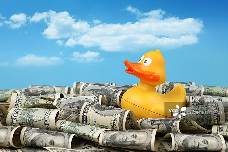 美元中的黄色鸭子图片素材