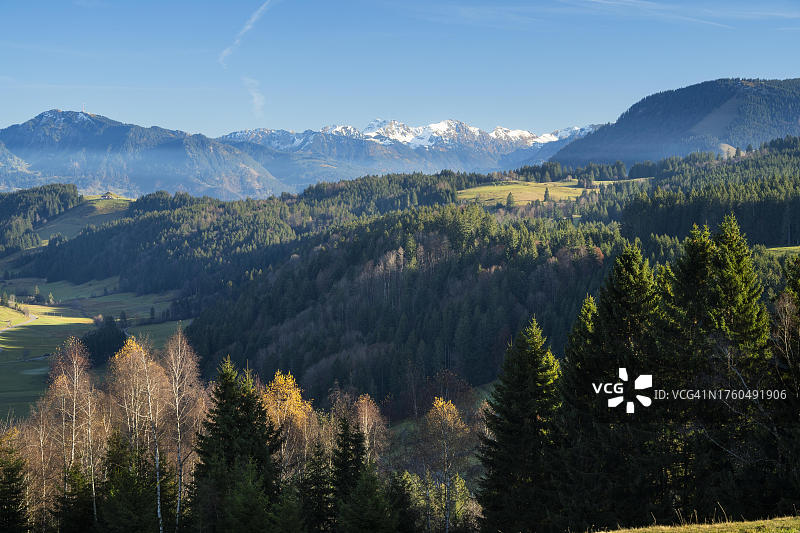 阿尔高米森-维尔哈姆斯附近的森林山景，德国巴伐利亚图片素材