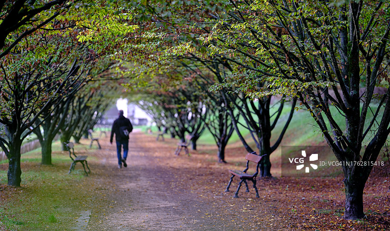 安静小巷中的剪影图片素材