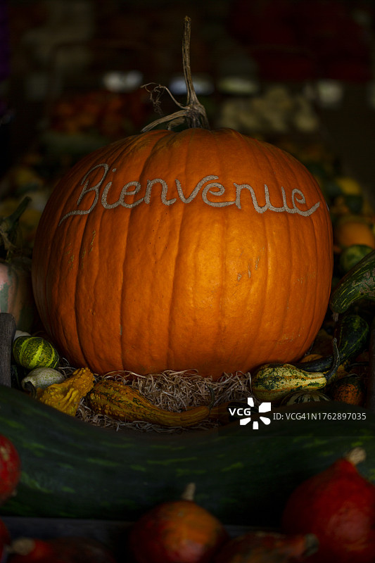 刻有法语“欢迎”字样的大南瓜图片素材