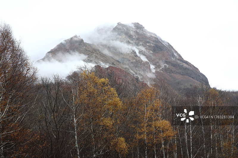 冬季森林背景下的冒烟活火山图片素材