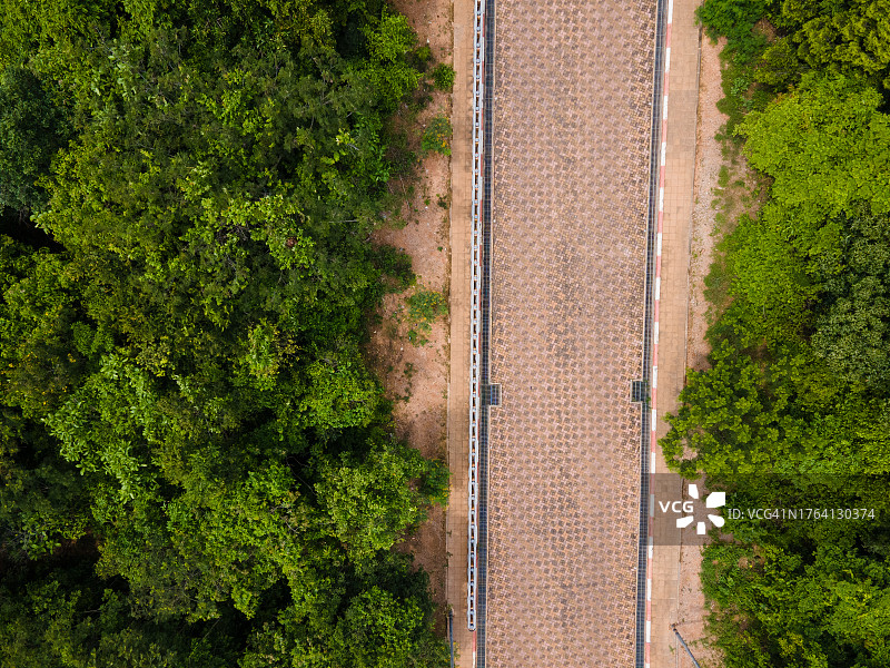 热带雨林树冠透视航拍背景图图片素材