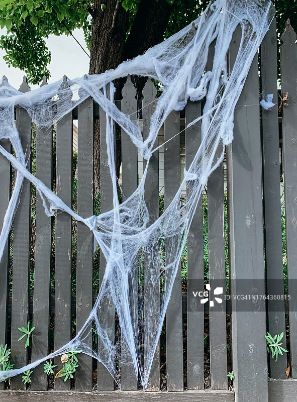 万圣节准备图片素材