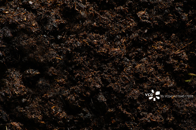 肥沃的园土背景纹理图片素材