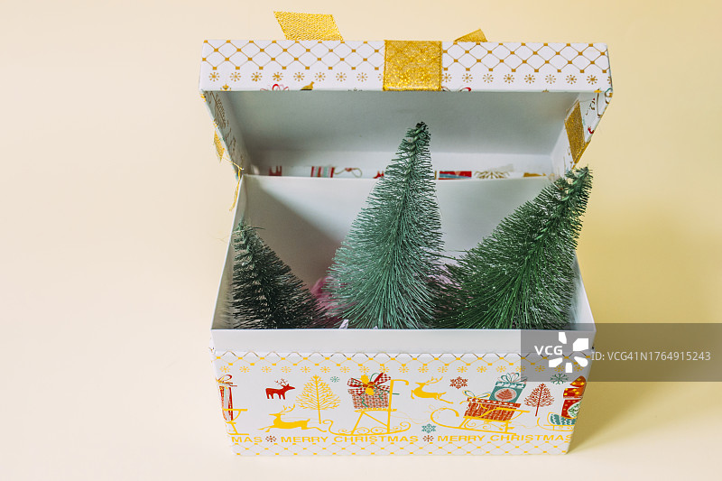 环保圣诞礼物：礼盒中的树木。具有环保意识的圣诞礼物，内含绿色树木图片素材