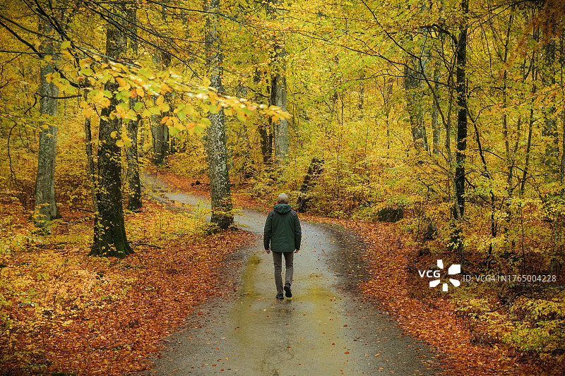 一个男人秋季在落叶林小路上行走。图片素材