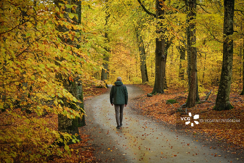 一个男人秋季在落叶林小路上行走。图片素材