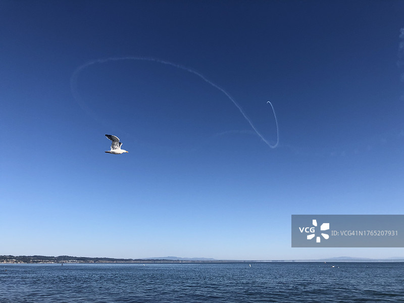 美国加州卡皮托拉的鸟和飞机航迹图片素材