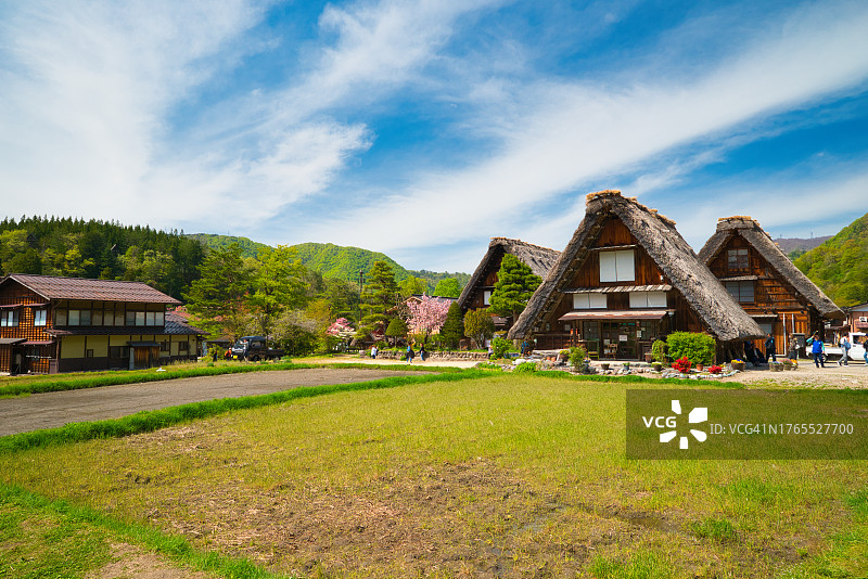 日本白川的田野上房屋与树木图片素材