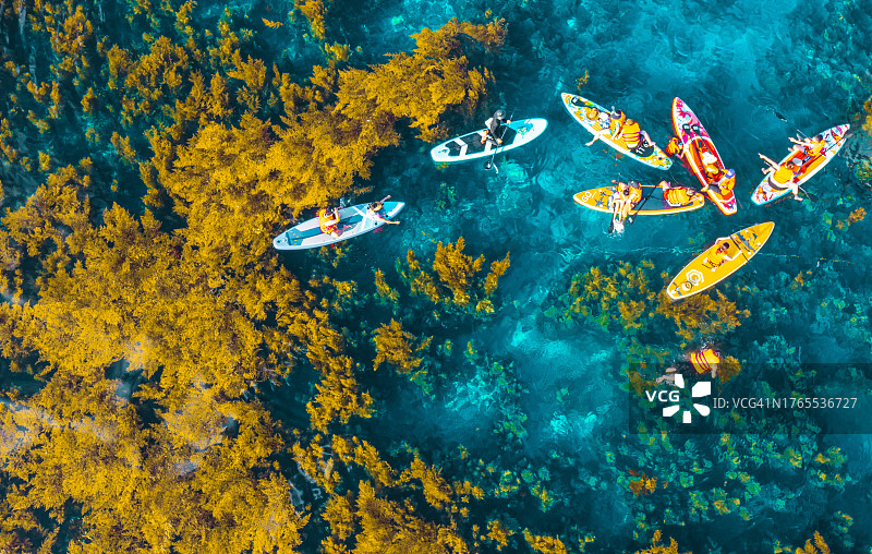 夏季黄色海藻上的帆船桨板运动图片素材