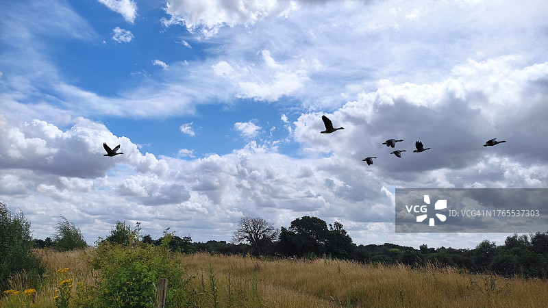低角度鸟瞰图图片素材