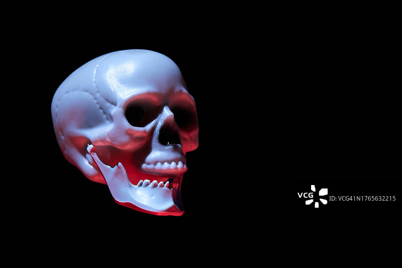 恐怖骷髅设计元素，万圣节素材图片素材