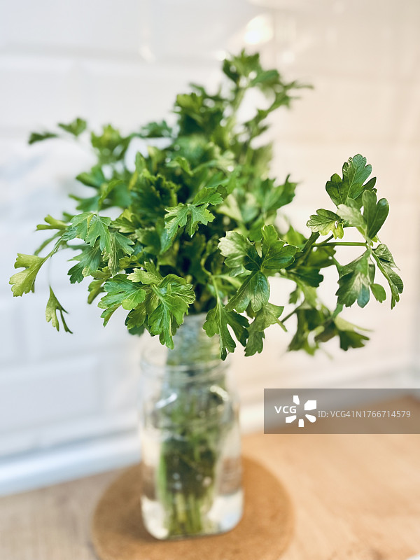 一杯水中新鲜欧芹的特写图片素材