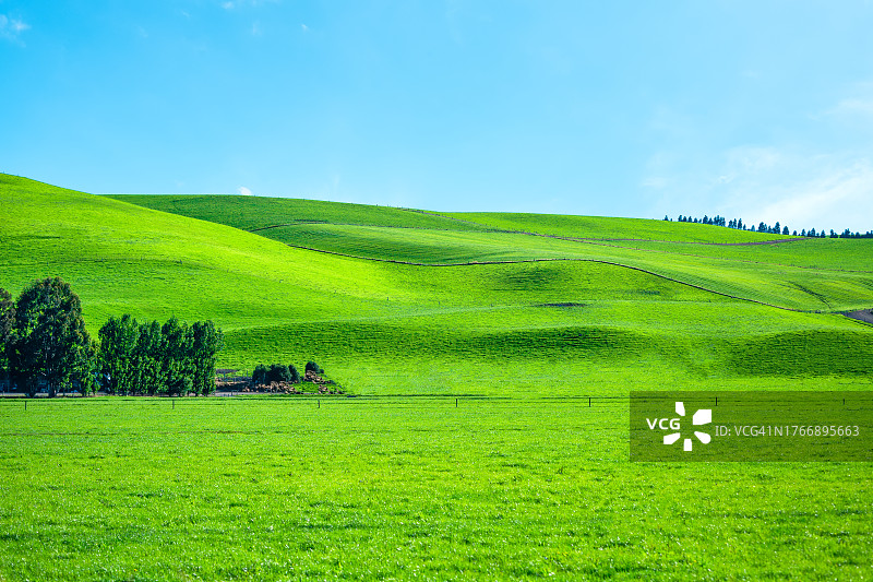 绿色草原斜坡图片素材