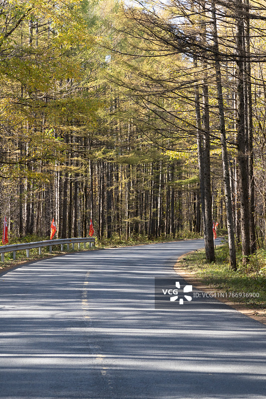 秋季的空旷道路图片素材