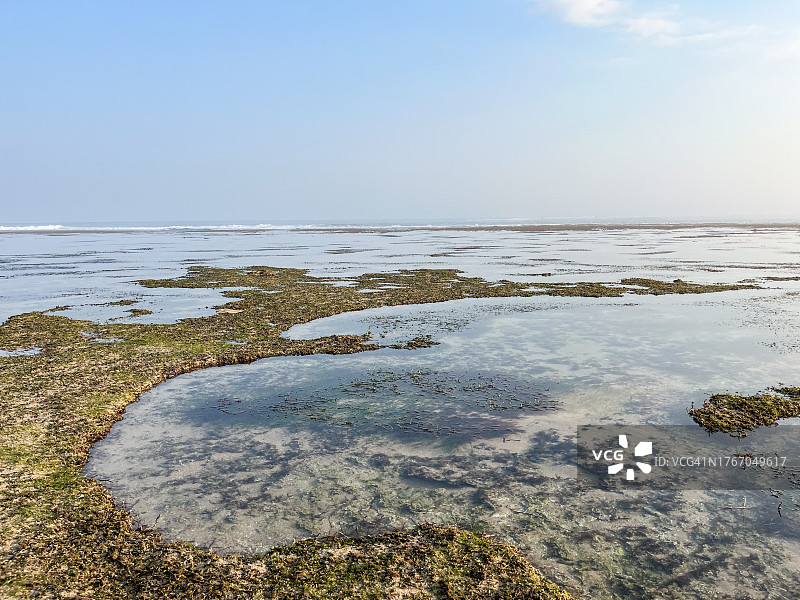 珊瑚上的水坑图片素材