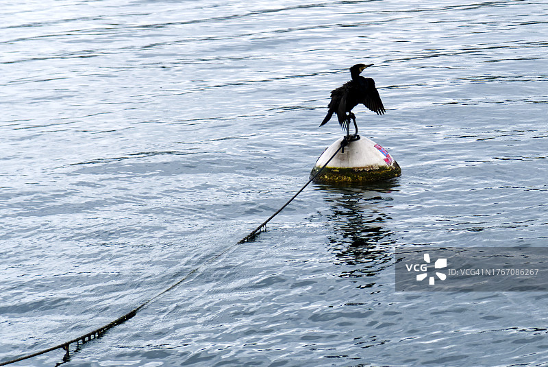男人在海上划皮划艇图片素材