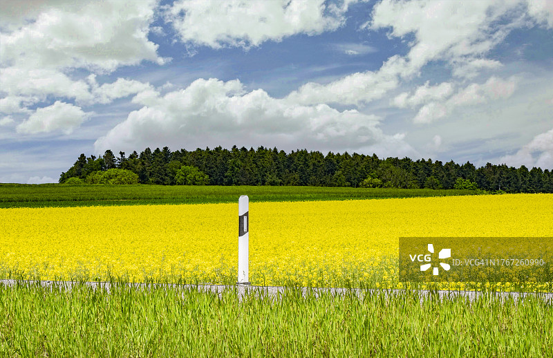 穿过农田的乡村道路上的道路反光板图片素材