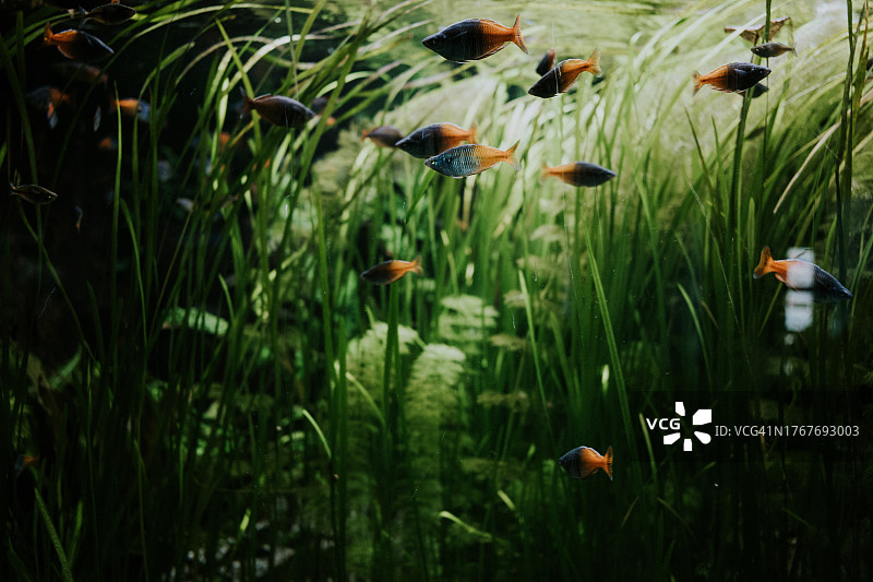 地狱谷动物园水族馆图片素材