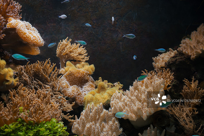 地狱谷动物园水族馆图片素材