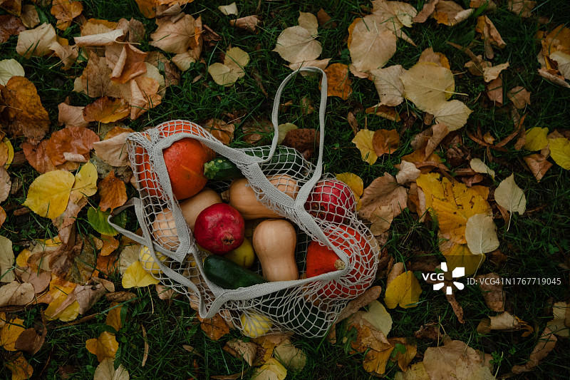 装满蔬果的网兜与秋叶背景图片素材