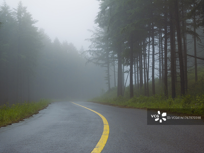 云雾缭绕的林间道路图片素材