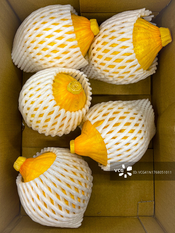 纸箱里放着带垫子的科林奇南瓜图片素材