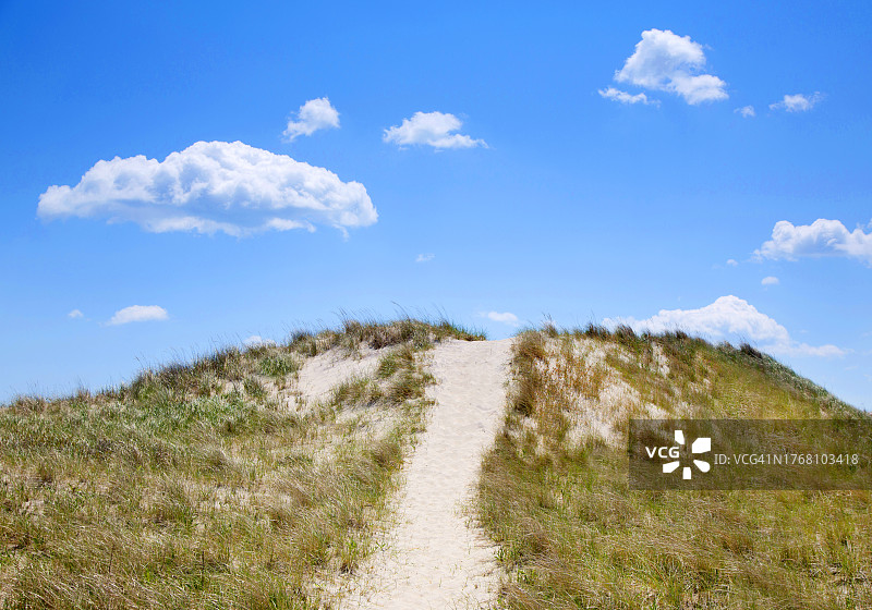 海滩小路图片素材