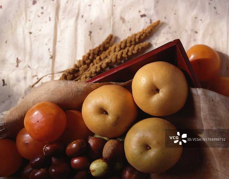 秋梨采摘图片素材