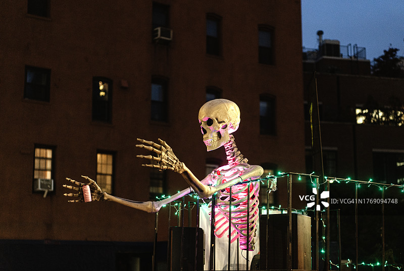 万圣节装饰：站在汽车上的人体骨骼图片素材