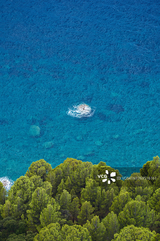 绿林环绕清澈海洋的壮丽景色图片素材